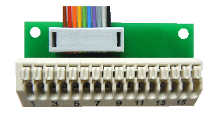 Terminal for switching outputs